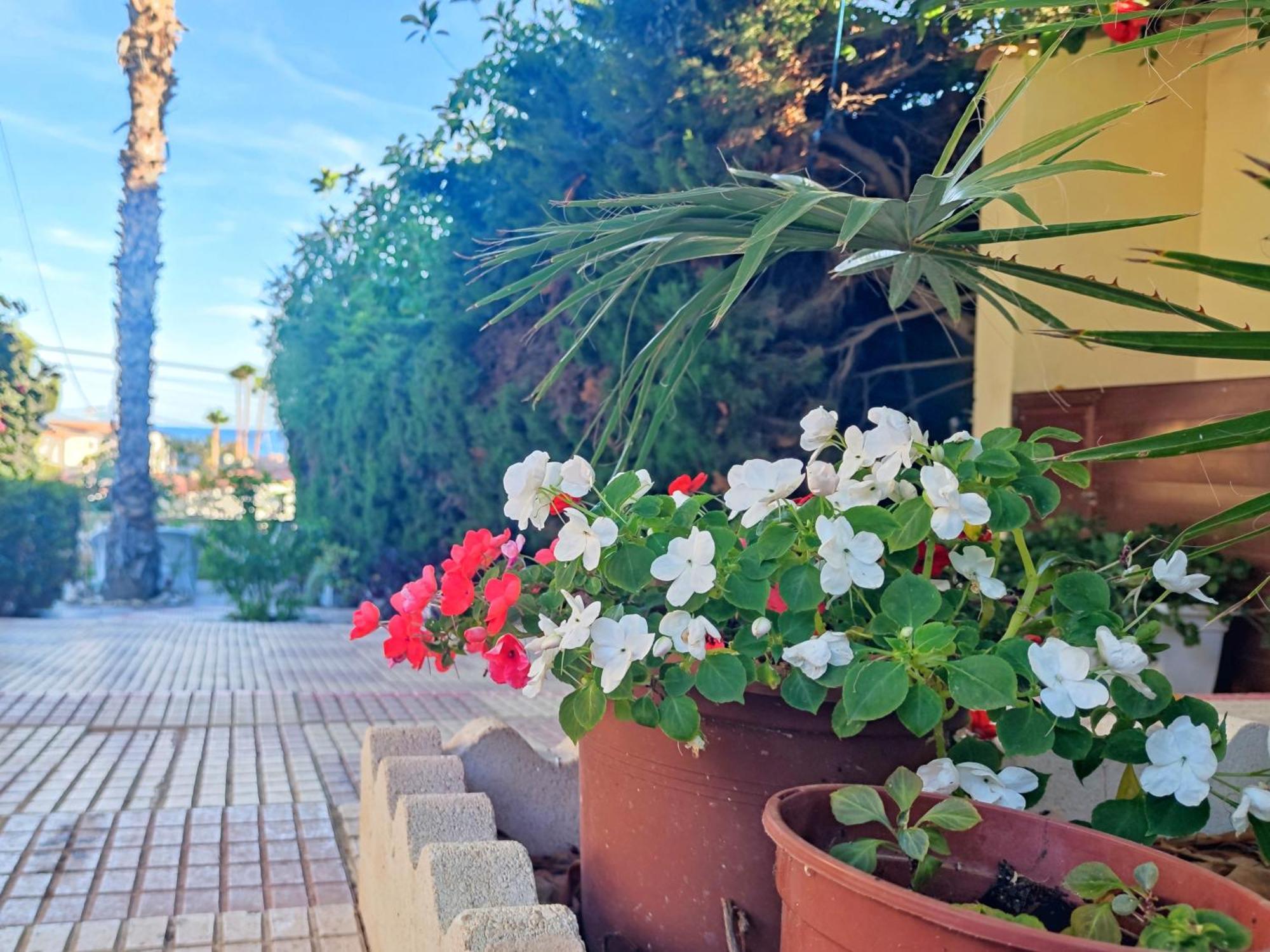 Casona Del Mar Terraza Y Vistas Al Mediterraneo El Campello Bagian luar foto